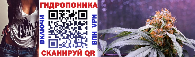 Купить наркотики цена Нелидово Codein  МЕФ  МЕТАДОН  Гашиш  Каннабис 