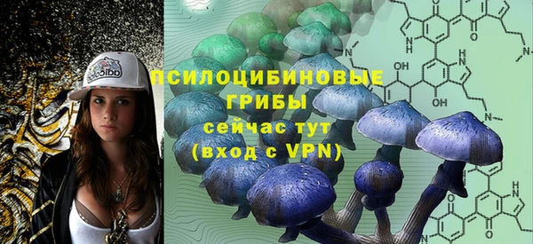 стаф Мегион