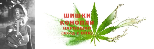 стаф Мегион