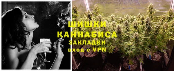 индика Магас