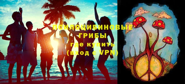 стаф Мегион